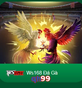 qh99